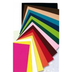 Vilt aprikoos 10 lehte