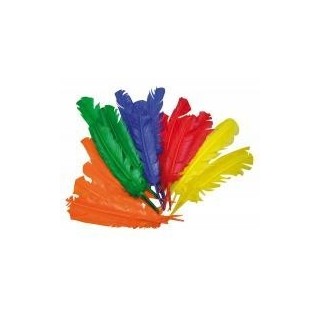 Indiaani suled pikad 30 cm  25tk.