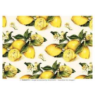 Decoupage paber 50 x 70 cm  kõrvitsad