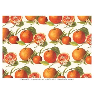 Decoupage paber 50 x 70 cm  kõrvitsad
