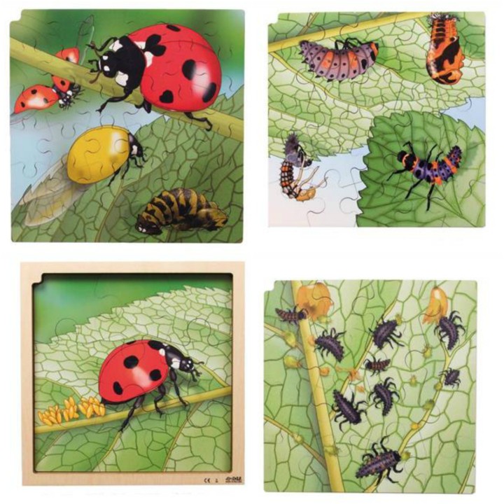 Pusle elutsükkel lepatriinu+tasuta app