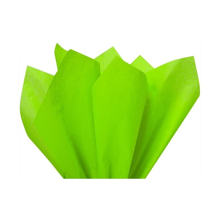 Siidipaber 20 lehte 50*70cm HELEROHELINE