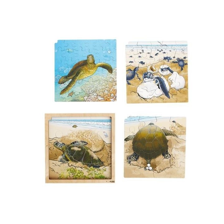 Pusle elutsükkel kilpkonn 4 kihti +APP