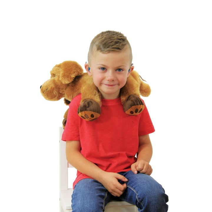 Teraapiakoer THEO TELLIMISEL