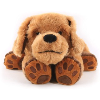 Teraapiakoer/raskuskoer THEO