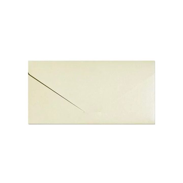 Ümbrik taskuga 5 tk kreem läikiv