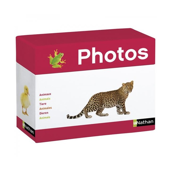 Pildikaardid "Loomad" 70tk