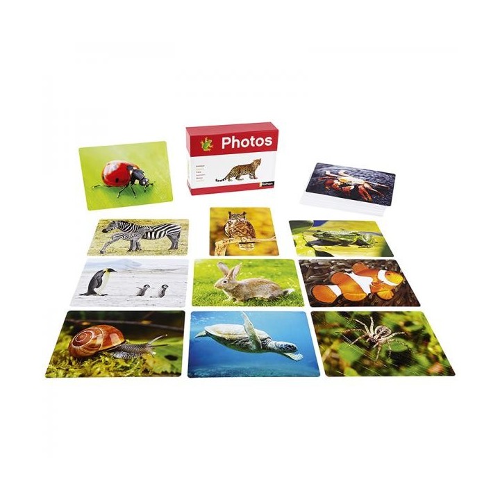 Pildikaardid "Loomad" 70tk