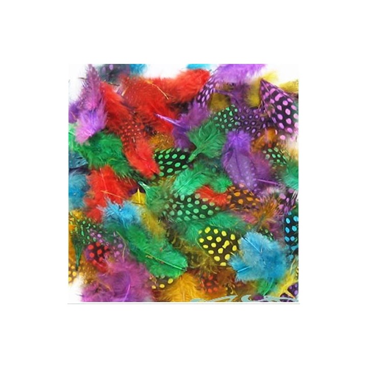 Guinea kana suled 100 tk Guinea kana suled 100 tk