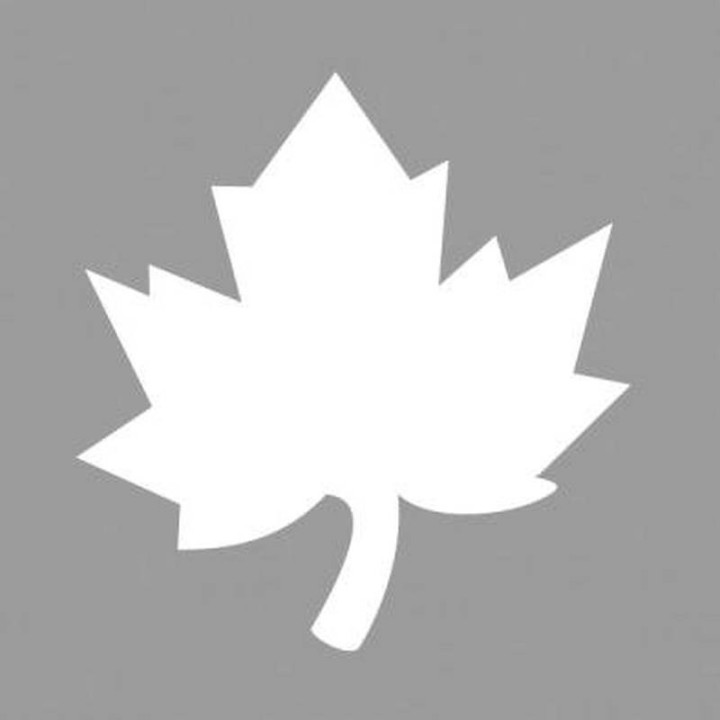 Motiivauguraud 3,81cm vahtraleht Rayher