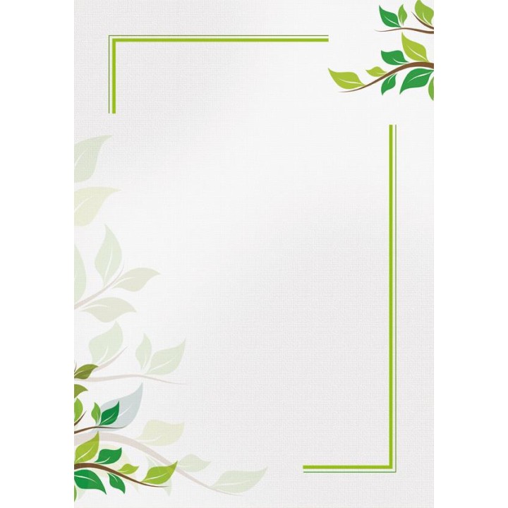 Kartong / diplomipõhi 170g/m lehed