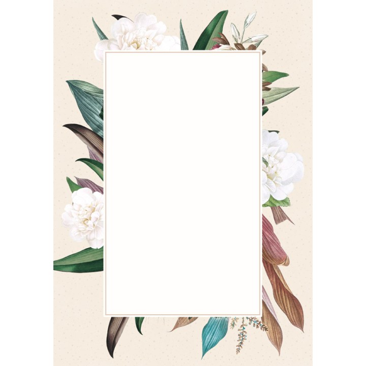 Kartong / diplomipõhi 170g/m  25 lehte A4