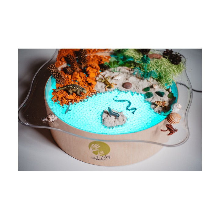 Alus valguslauale läbipaistev