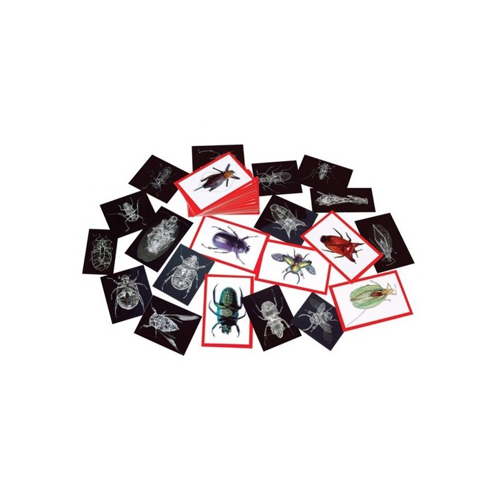 Pildikaardid + röntgenpildid "Putukad" 72tk