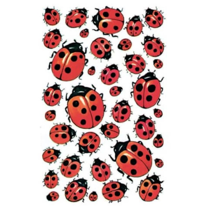 Kleeppildid lepatriinud 3 lehte Kleeppildid lepatriinud 3 lehte