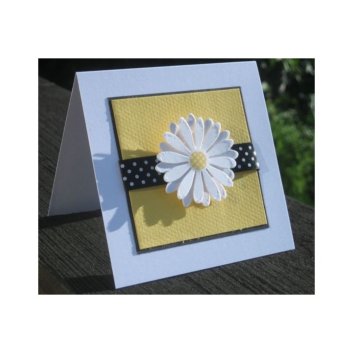 Motiivauguraud 3tk 25+49+75mm karikakar