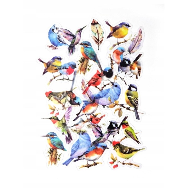 Kleebispildid  linnud 40 tk