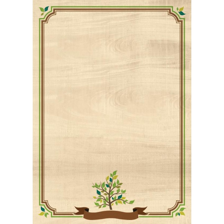 Kartong / diplomipõhi 170g/m2 25 lehte