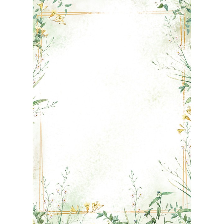 Disainpaber 100g/m2 50 lehte A4