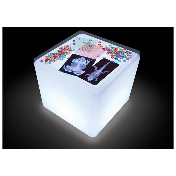 Pildikaardid + röntgenpildid "Loomad" 28tk