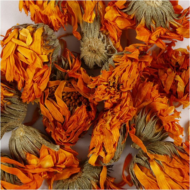 Kuivatatud lilled  saialill 15g