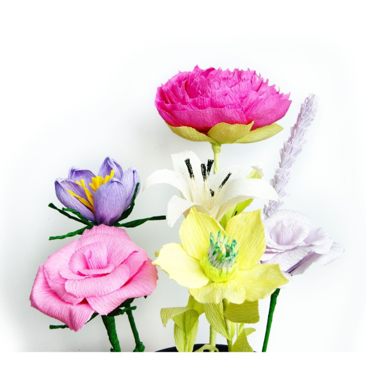 Krepp paber veniv 140% 6 värvi Delicate Krepp paber veniv 140% 6 värvi Delicate