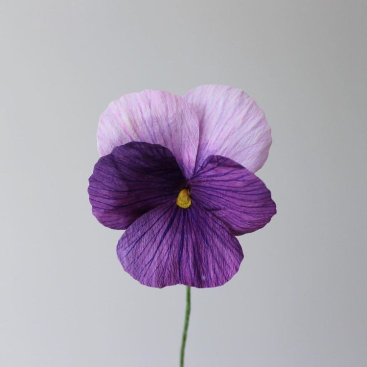 Krepp paber veniv 140% 6 värvi Delicate Krepp paber veniv 140% 6 värvi Delicate