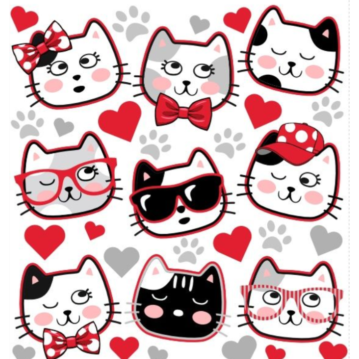 Riietele triigitavad embleemid KASSID