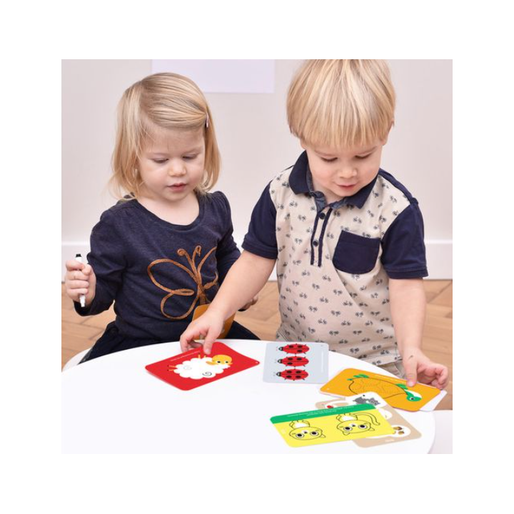 Tegevuskaardid kirjuta ja kustuta, LOOMAD