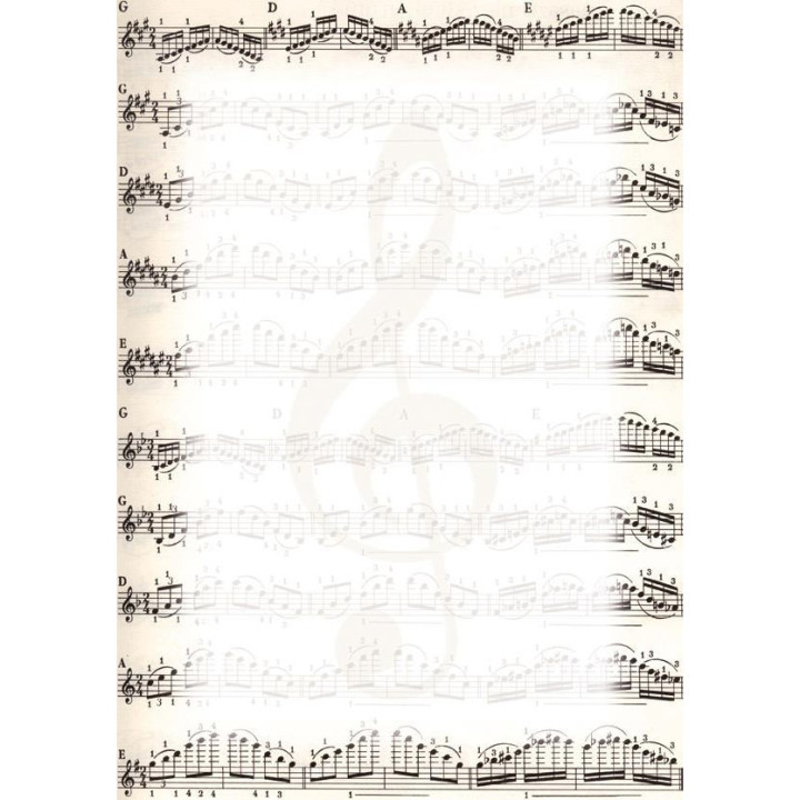 Kartong / diplomipõhi 170g/m  25 lehte A4 noodid