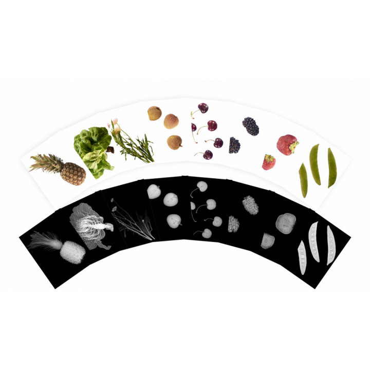 Pildikaardid + röntgenpildid "Taimed" 84tk