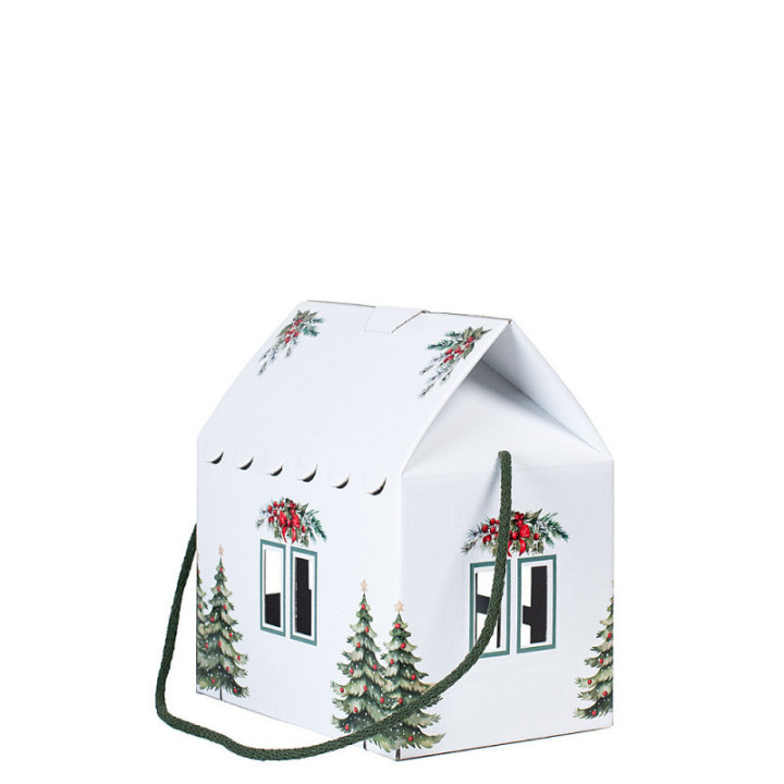 kinkekarp "Päkapiku kodu" 200*140*140mm