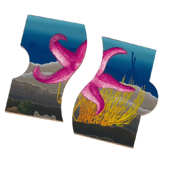 Põrandapusle veeloomad 112*12cm