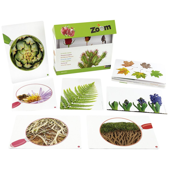 Pildikaardid "Taimeriik" 40tk