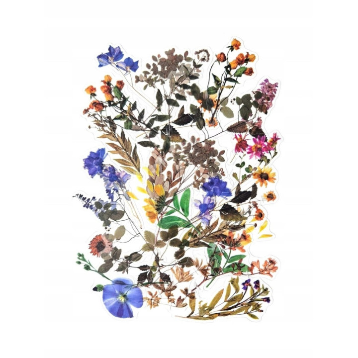 Kleebispildid  põllulilled 40 tk