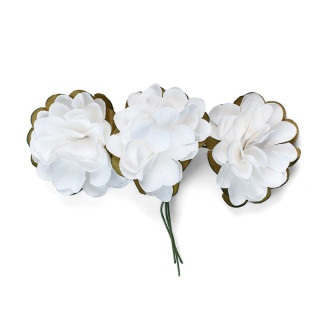 hortensia 3,5cm * 12tk valge