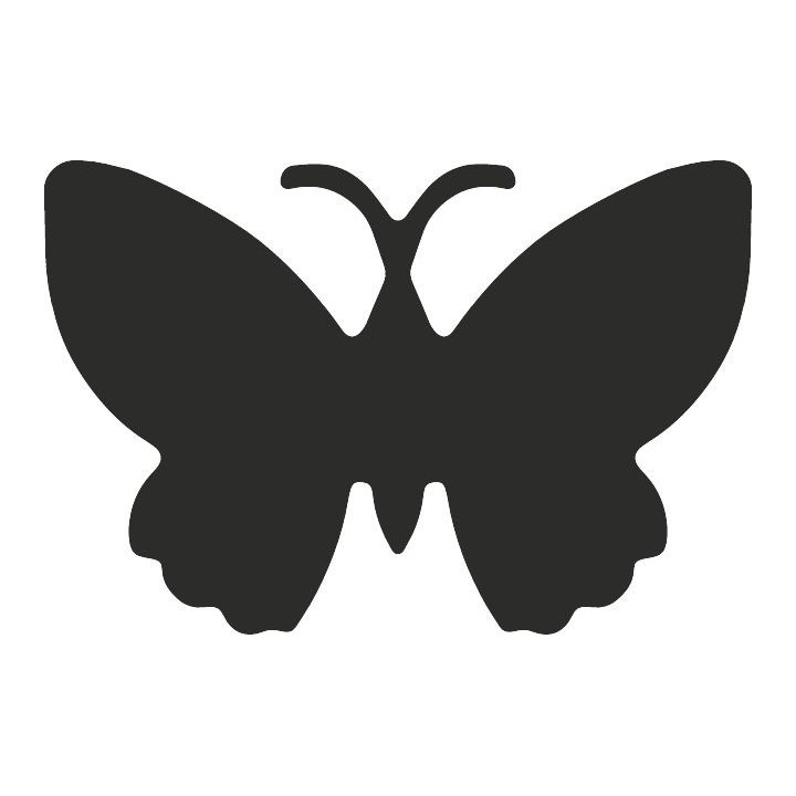 Motiivauguraud magnetiga 2in1 liblikas