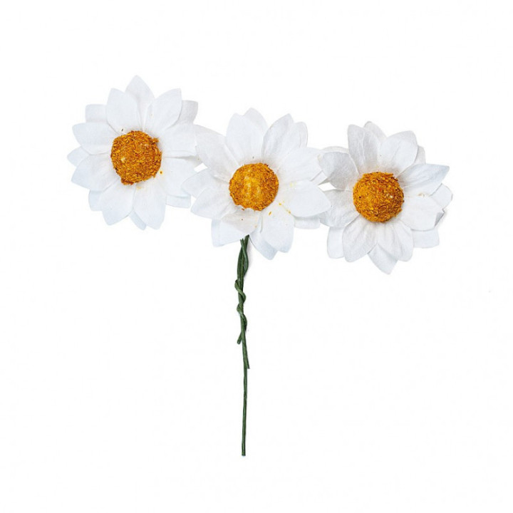 karikakar 3,5cm *12 tk.