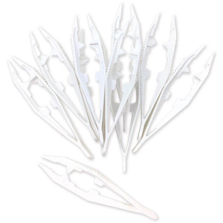 Pintsett  plasist 10 tk.